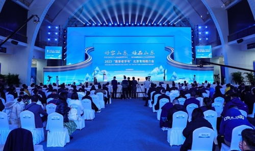 北京宏信联合 以专业科技服务赋能智慧山东新篇章