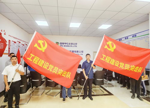 国家电投北京新能源与北京宏信组建海南工程建设联合党支部，共筑清洁能源新篇章